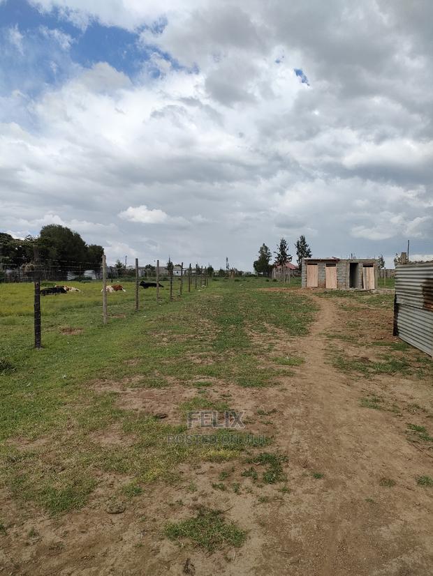 Narumoru Quota Plot Touching Tarmac - thumbnail 6