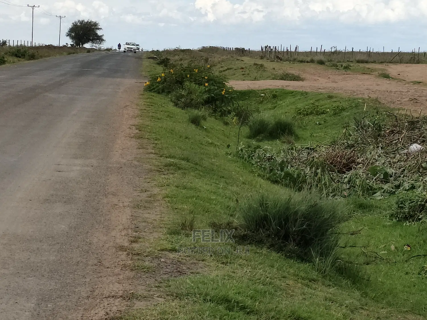 Narumoru Quota Plot Touching Tarmac