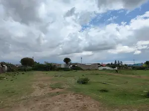 Narumoru Quarter Plot