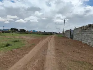 Narumoru Quarter Plot