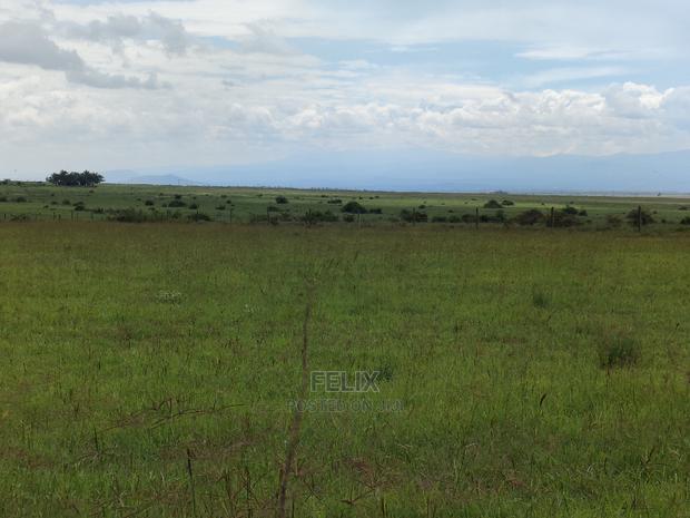 Narumoru 2 Acres Touching Tarmac - thumbnail 5