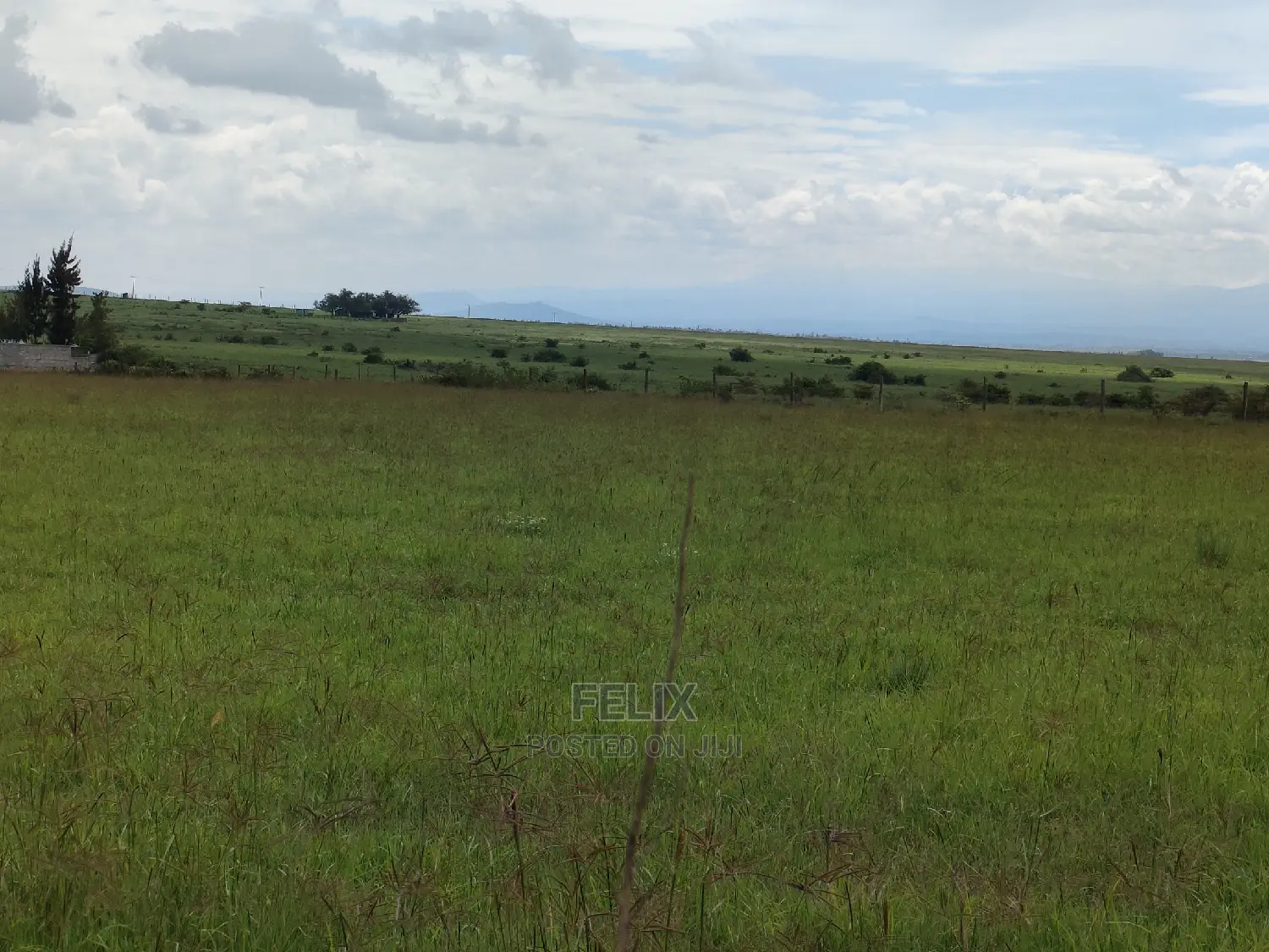 Narumoru 2 Acres Touching Tarmac