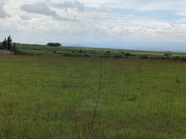 Narumoru 2 Acres Touching Tarmac - thumbnail 7