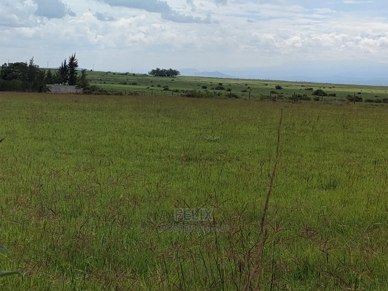 Narumoru 2 Acres Touching Tarmac