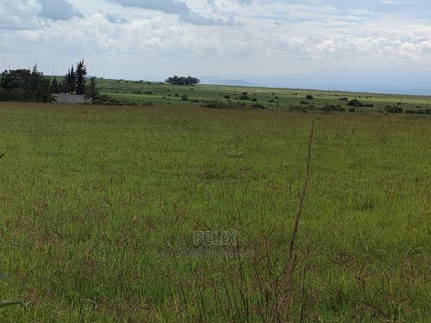 Narumoru 2 Acres Touching Tarmac - thumbnail 8