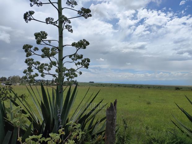 Narumoru 2 Acres Touching Tarmac - thumbnail 12