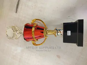Badminton Tournament Champion Trophy-22"