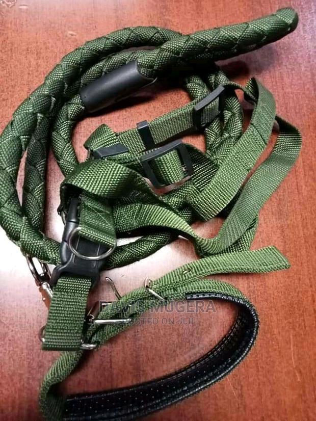 Best Quality Dog Harnesses for Sale - thumbnail 5