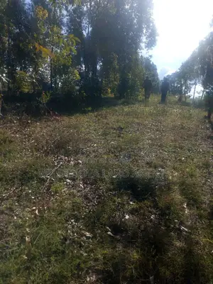 Land on Sale at Kinungi Naivasha Tourching Nairobi Nakuru Rd