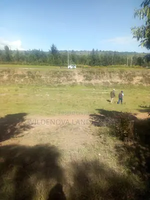 Land on Sale at Kinungi Naivasha Tourching Nairobi Nakuru Rd