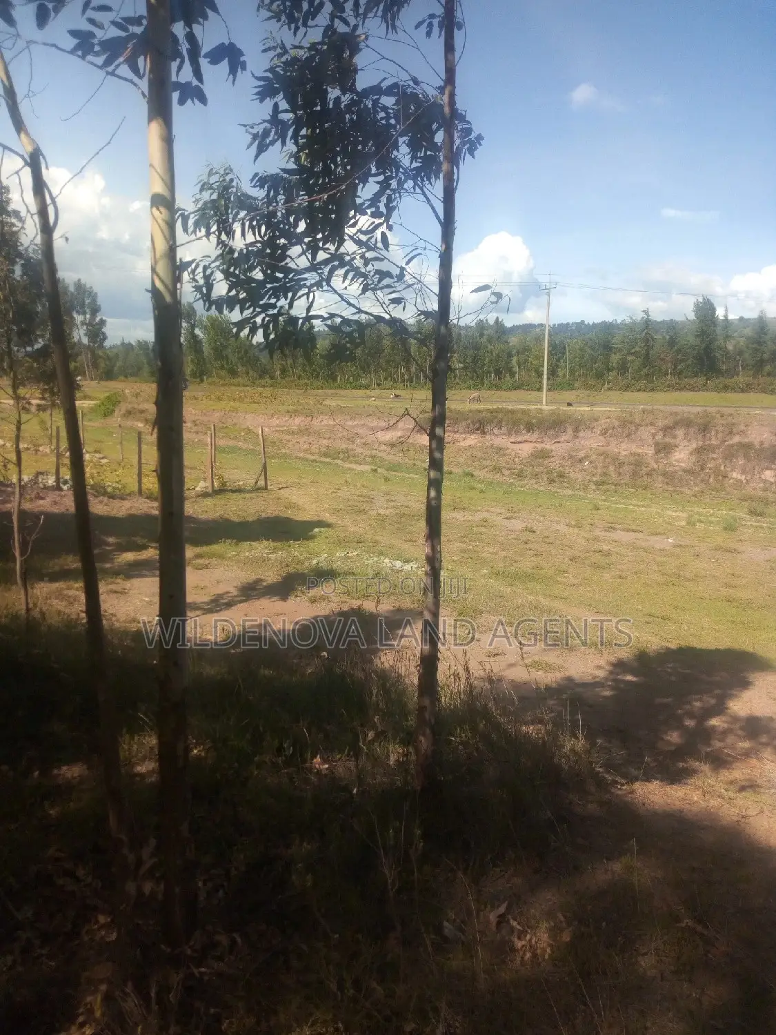 Land on Sale at Kinungi Naivasha Tourching Nairobi Nakuru Rd