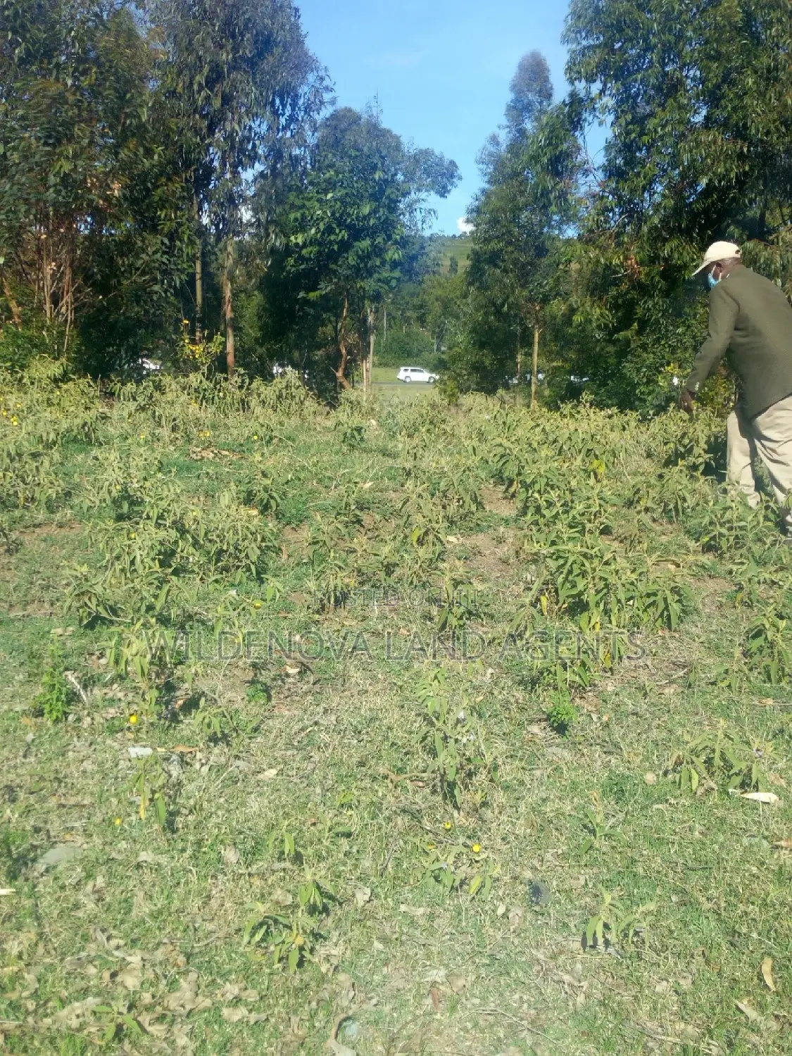 Land on Sale at Kinungi Naivasha Tourching Nairobi Nakuru Rd