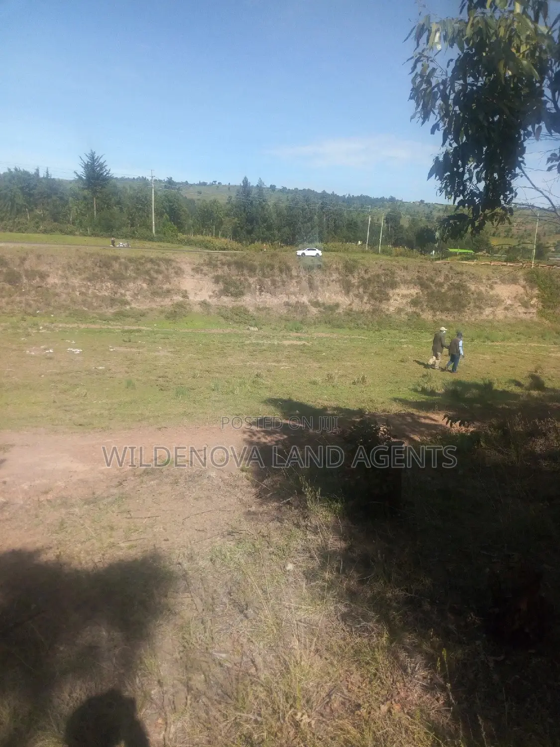 Land on Sale at Kinungi Naivasha Tourching Nairobi Nakuru Rd