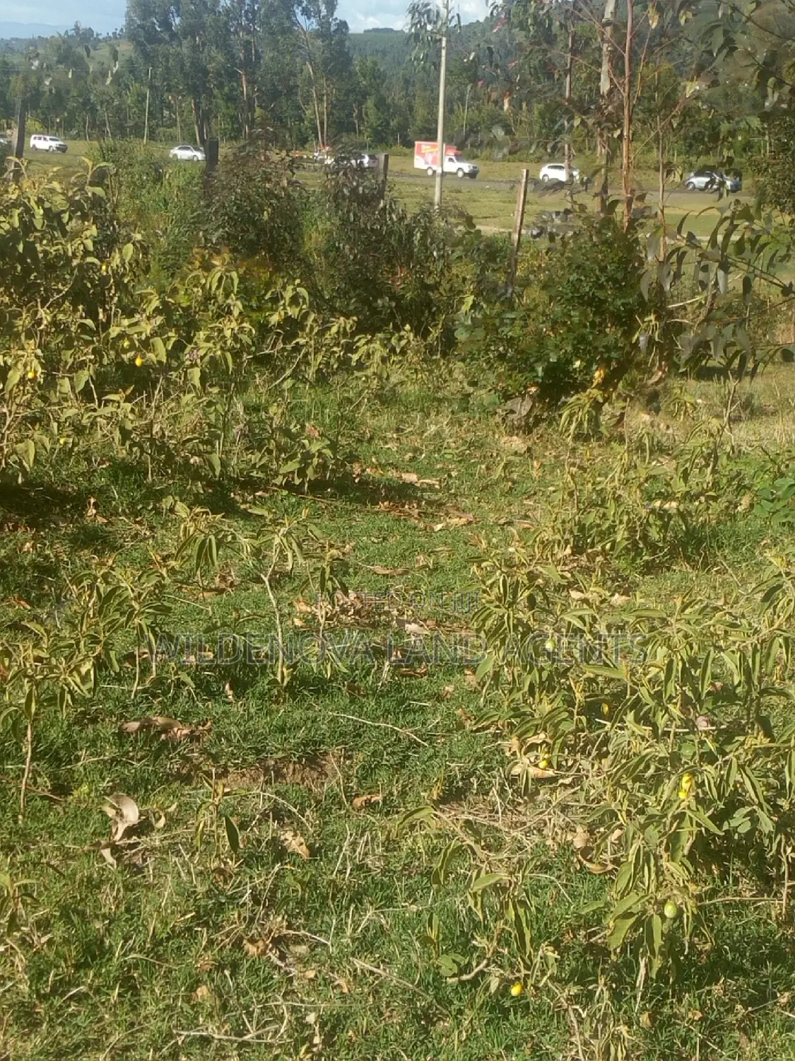 Land on Sale at Kinungi Naivasha Tourching Nairobi Nakuru Rd