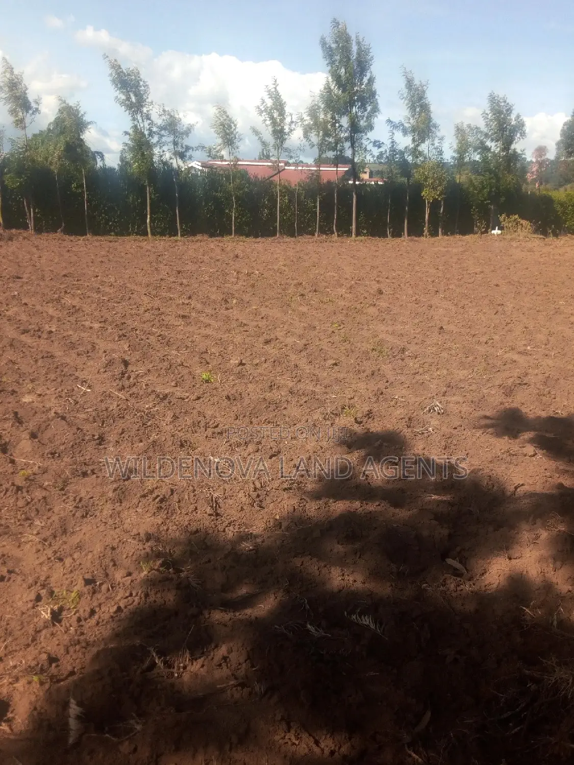 Land on Sale at Kinungi Naivasha Tourching Nairobi Nakuru Rd