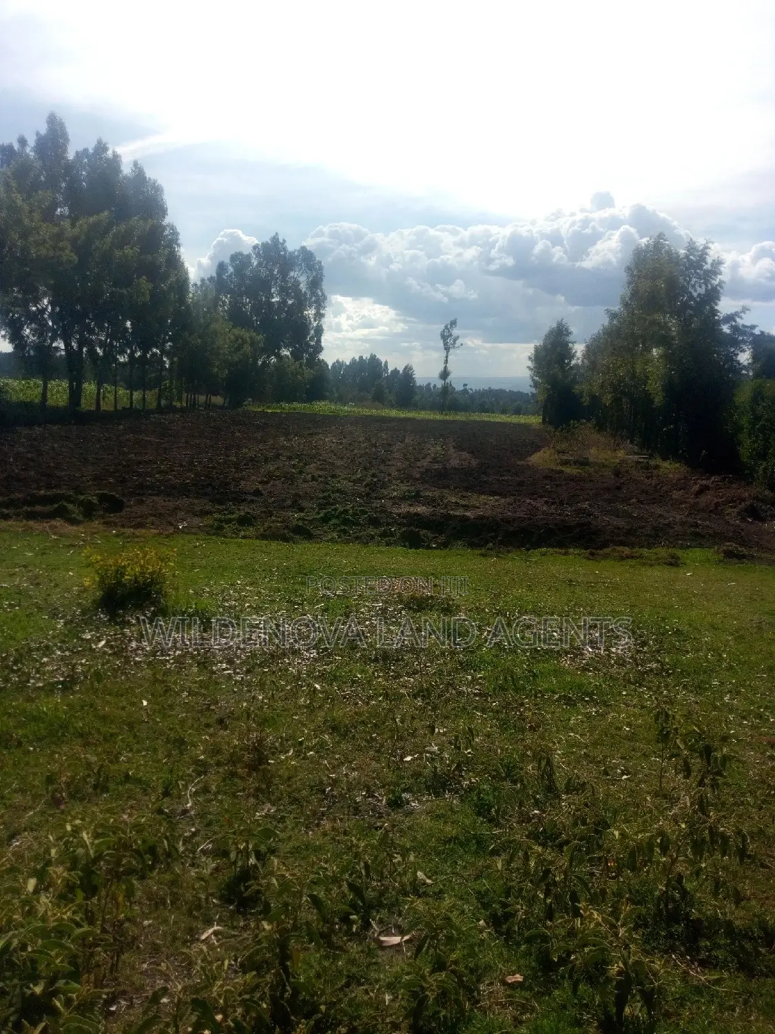 Land on Sale at Kinungi Naivasha Tourching Nairobi Nakuru Rd