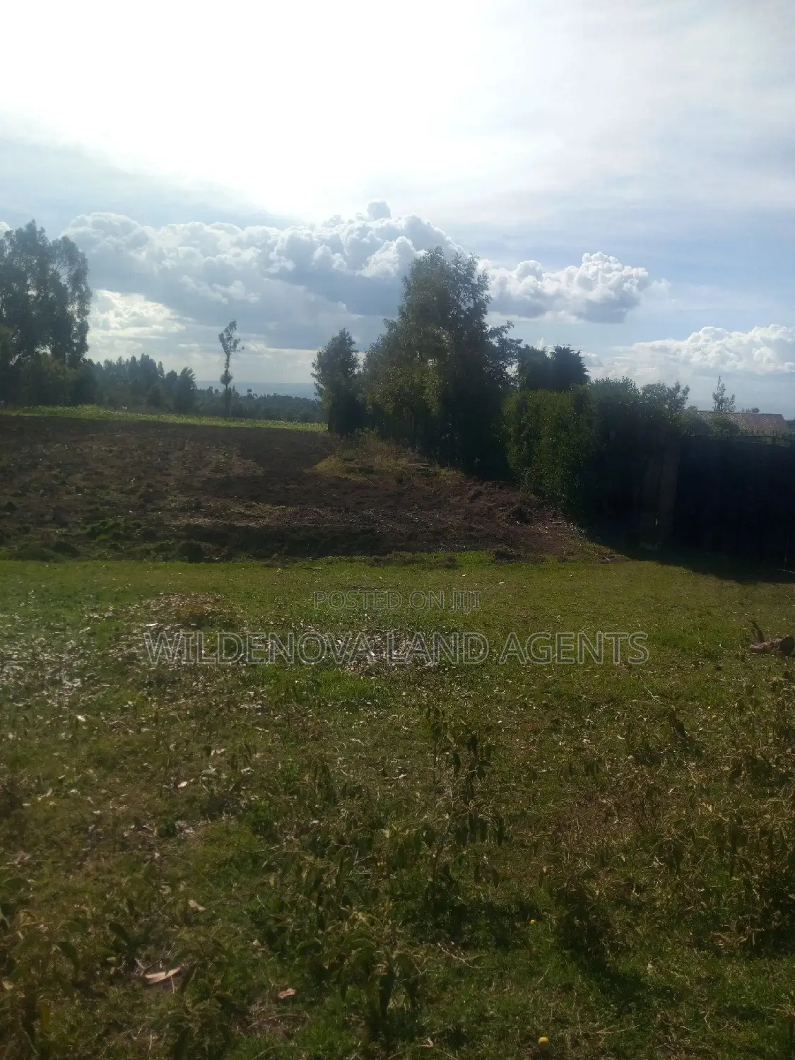 Land on Sale at Kinungi Naivasha Tourching Nairobi Nakuru Rd