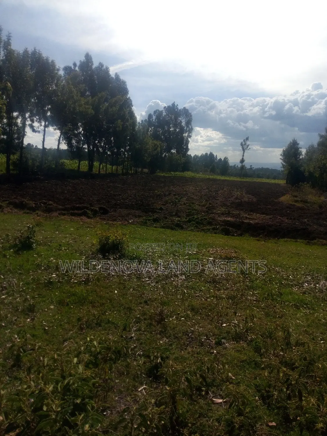 Land on Sale at Kinungi Naivasha Tourching Nairobi Nakuru Rd