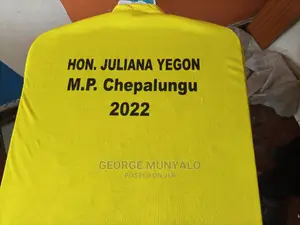 Peinted T-shirts (Election)