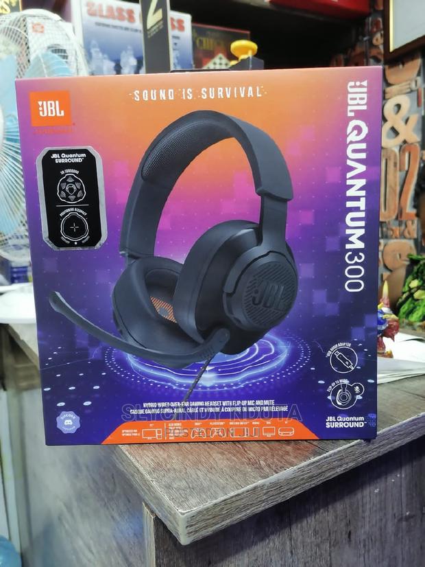 Quantum 300 - main view