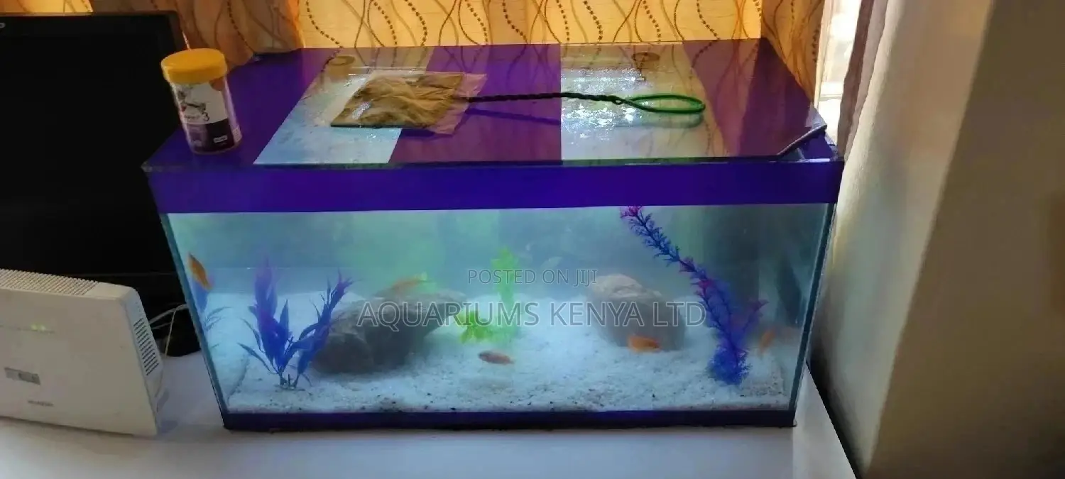 50litres Aquarium With All Its Accessories