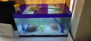 50litres Aquarium With All Its Accessories