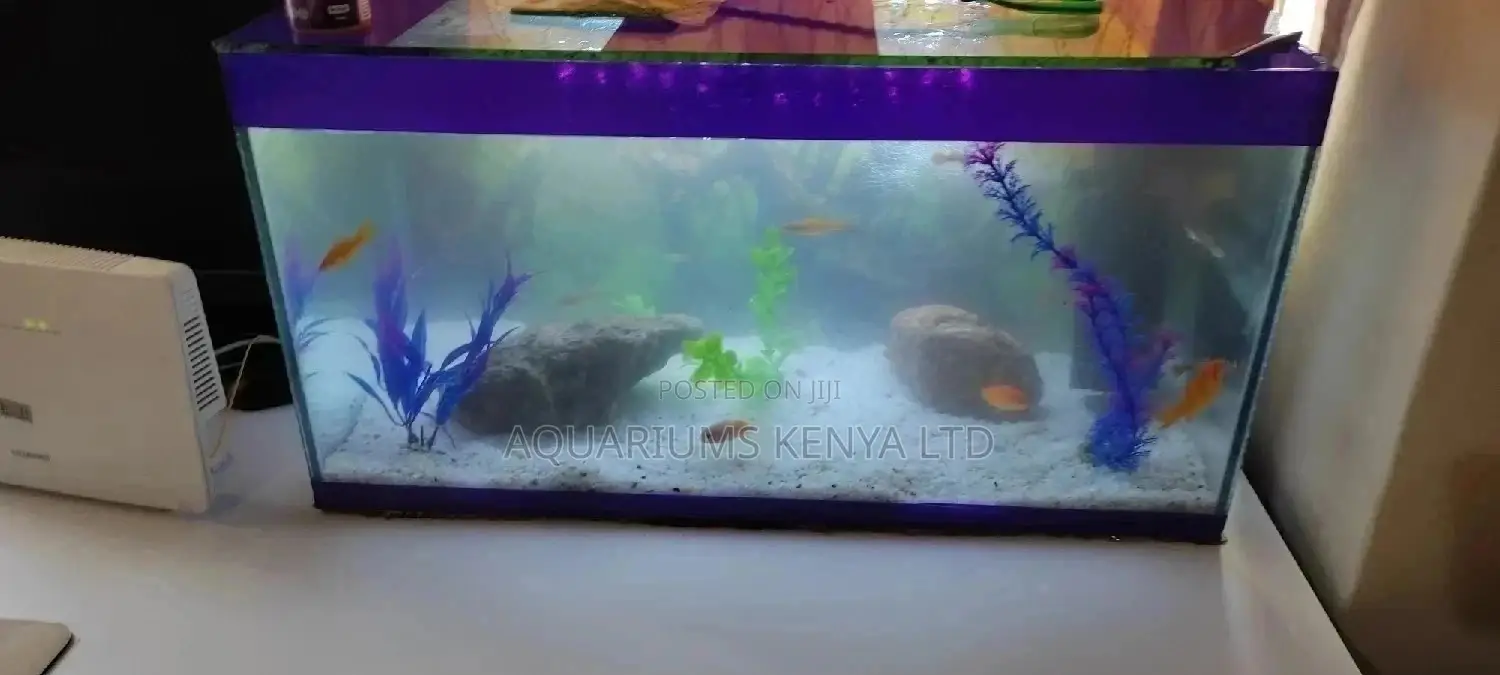Fish Pet Aquarium