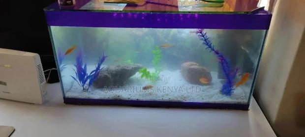 Fish Pet Aquarium - main view