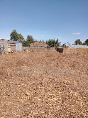 1/4 Plot Kiplombe Ideal for Residential - main view