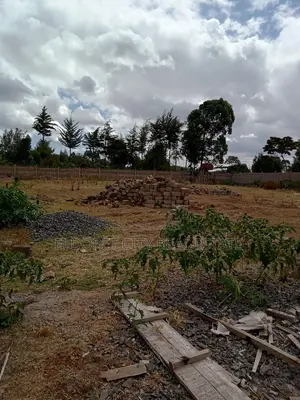 1/2 Acre Elgonview