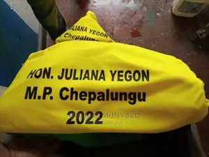 Peinted T-shirts (Election)