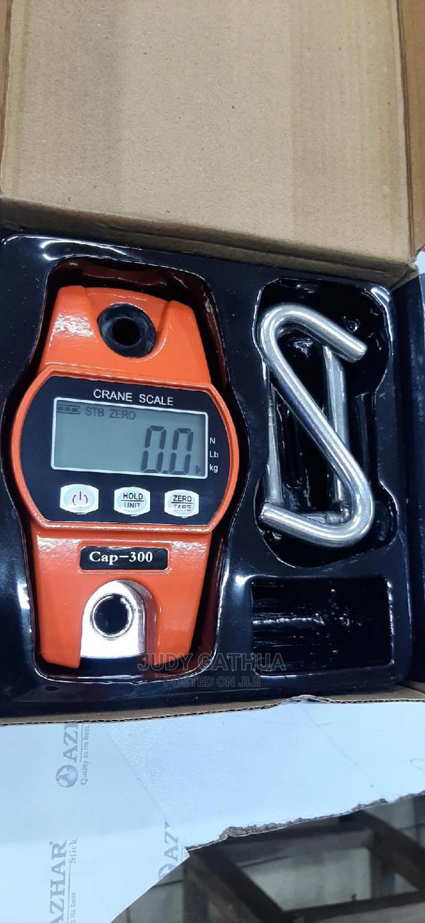 Crane 300kg Digital - main view