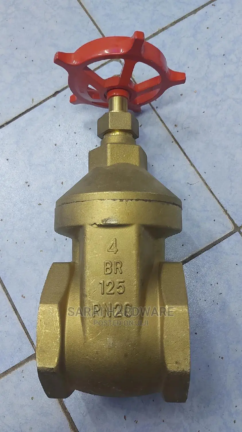4"Peglar Gatevalve