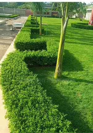 Landscaping