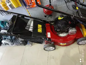 Lawn Mowers Gasoline