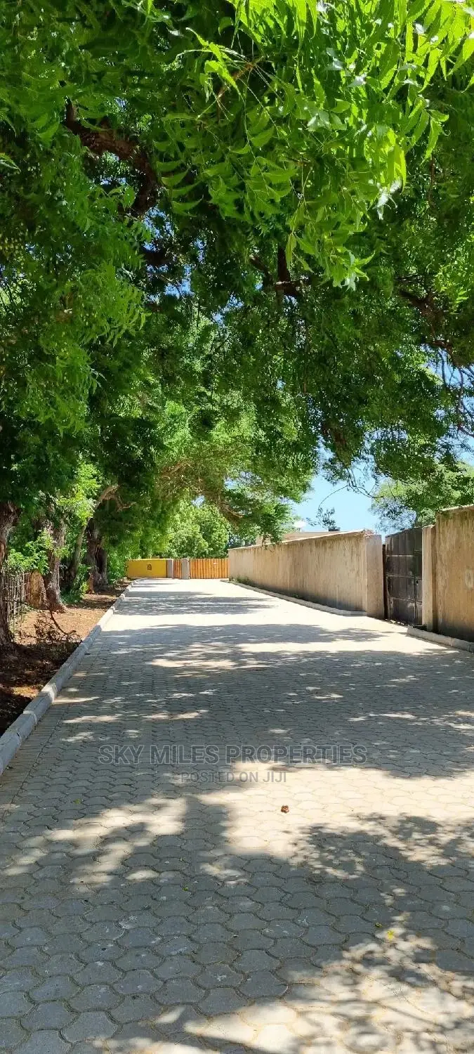 1/4 Acre Plots on Sale at Kuruwitu/Vipingo Ridge