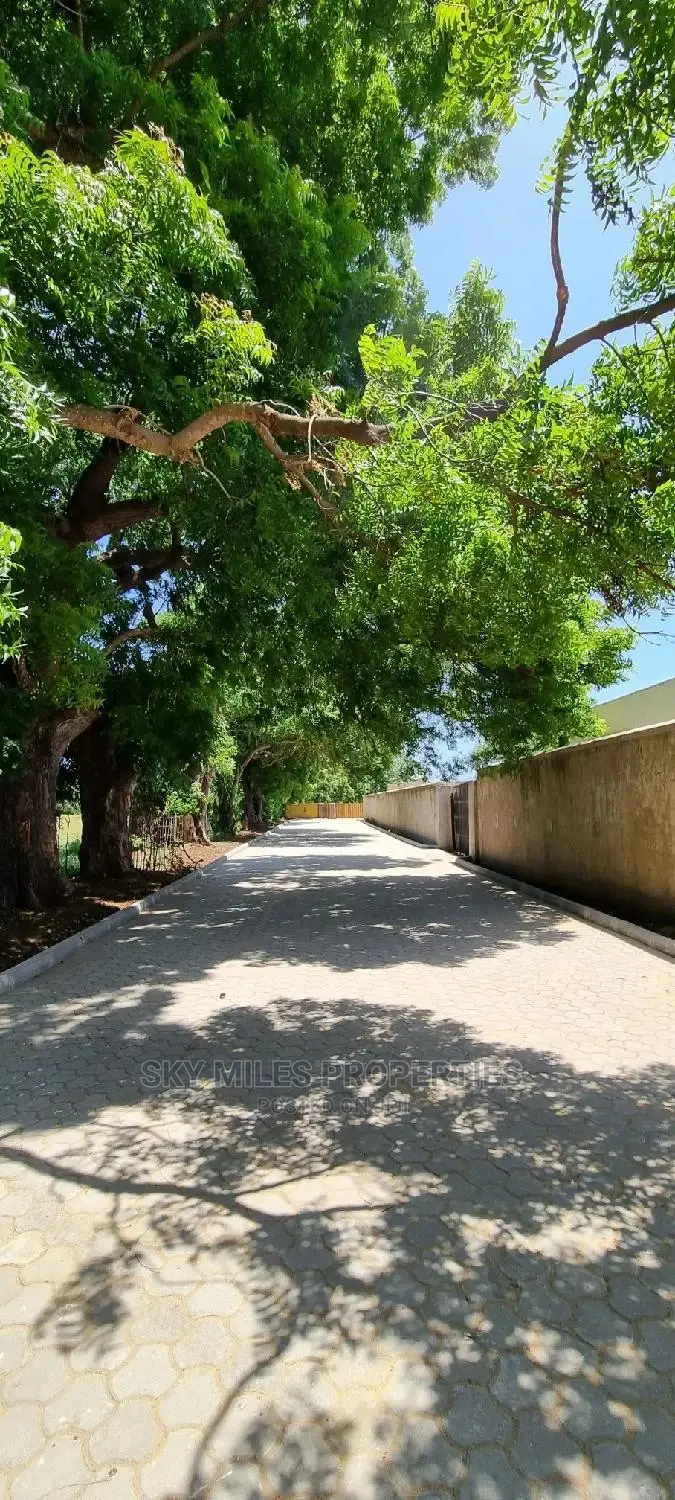 1/4 Acre Plots on Sale at Kuruwitu/Vipingo Ridge