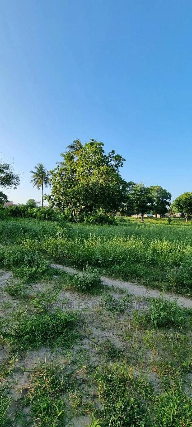 50/100 Mtwapa on Sale - thumbnail 4