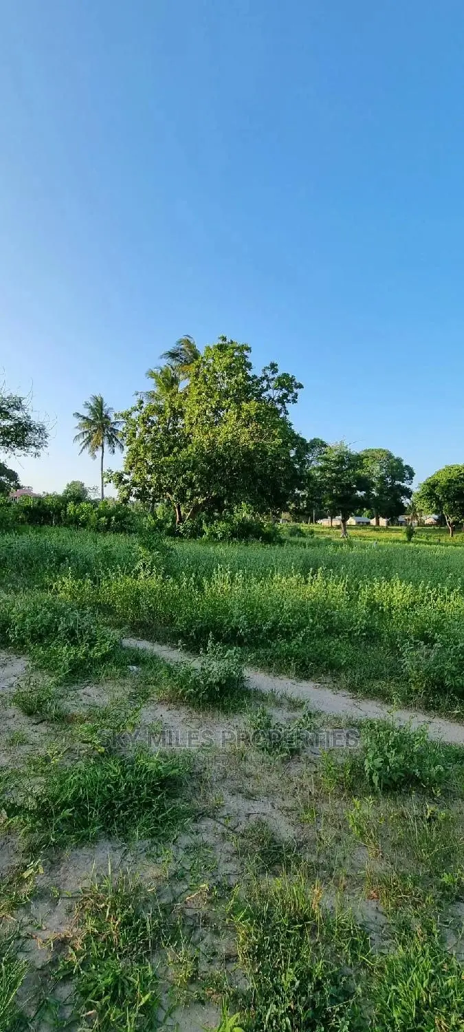 50/100 Mtwapa on Sale