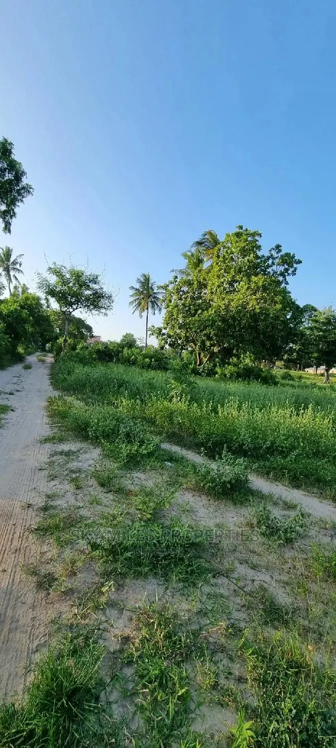 50/100 Mtwapa on Sale