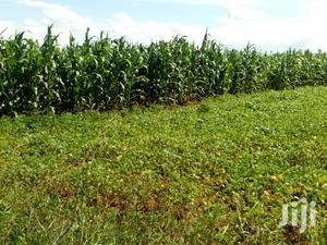 Land in Rumuruti Ndurumo for Sale