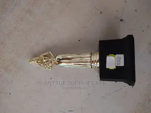 Beauty Competition Troph -8"