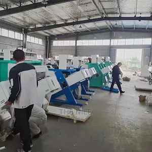 Rice Automatic Sorting