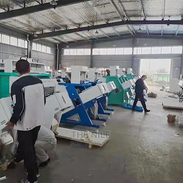 Rice Automatic Sorting