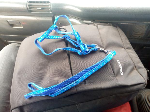 Puppy Dogleash- Chiwawa - main view