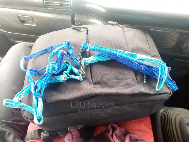 Japanese Dog Leash - main view