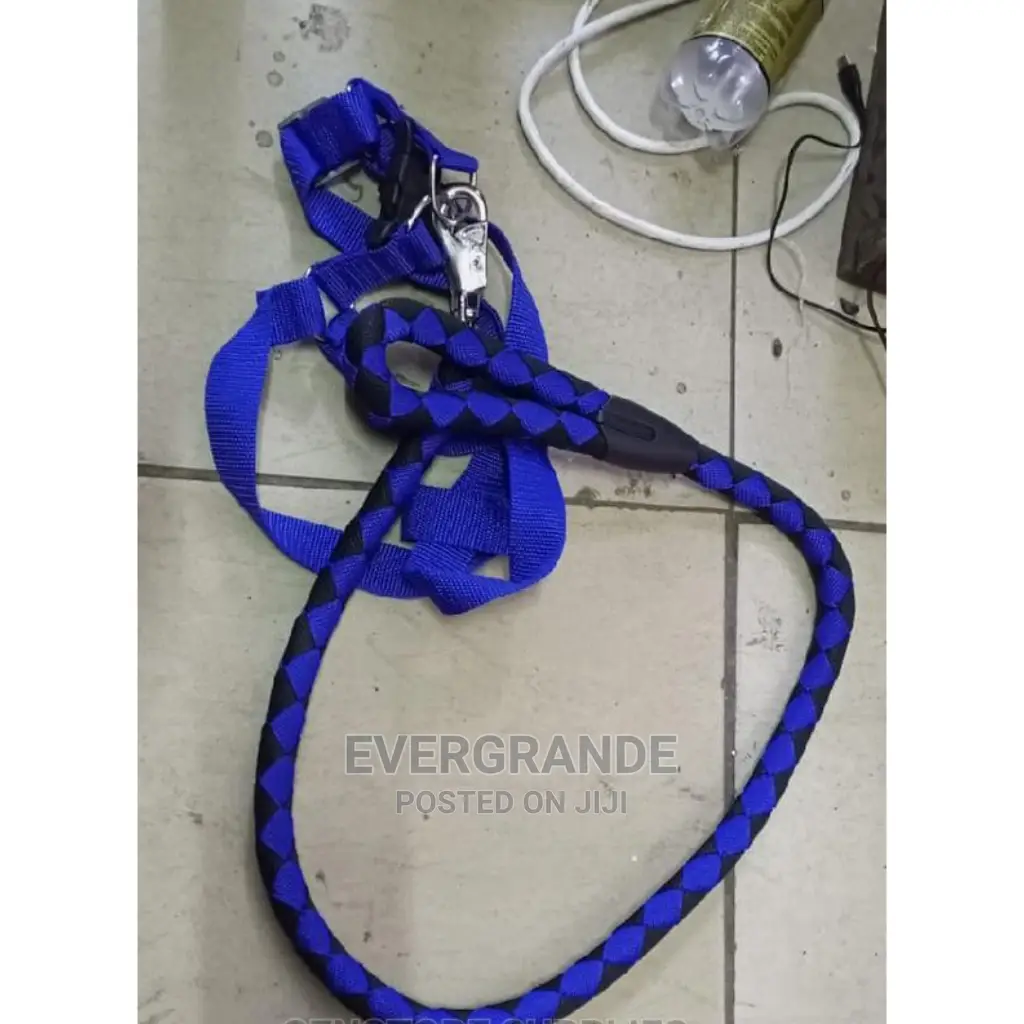 Super Dog Leash