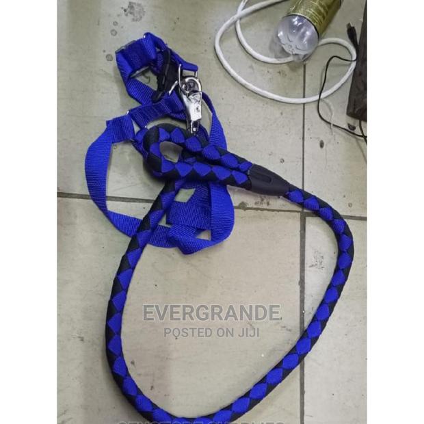 Super Dog Leash - main view