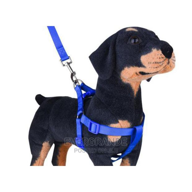 Premier Dog Leash - main view