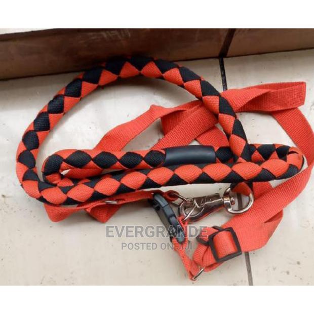 Evergrande Dog Leash - main view